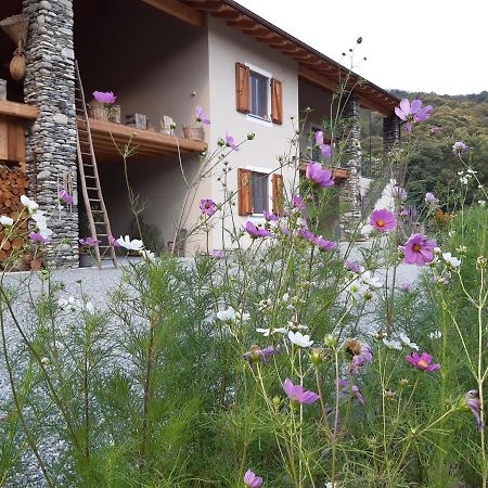 PaesanaSemi Al Vento: La Bio-Casa Nel Giardino Incantato!公寓 外观 照片