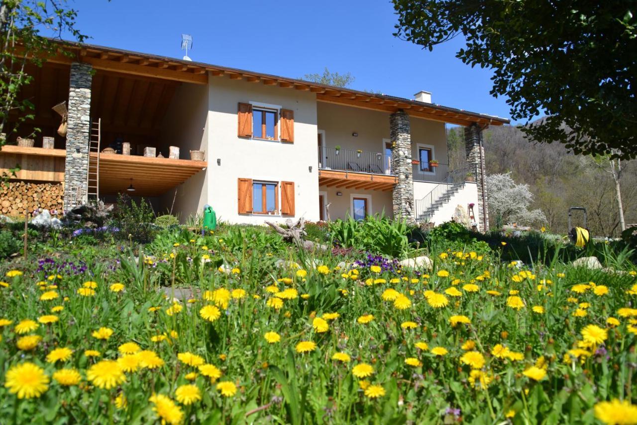 PaesanaSemi Al Vento: La Bio-Casa Nel Giardino Incantato!公寓 外观 照片
