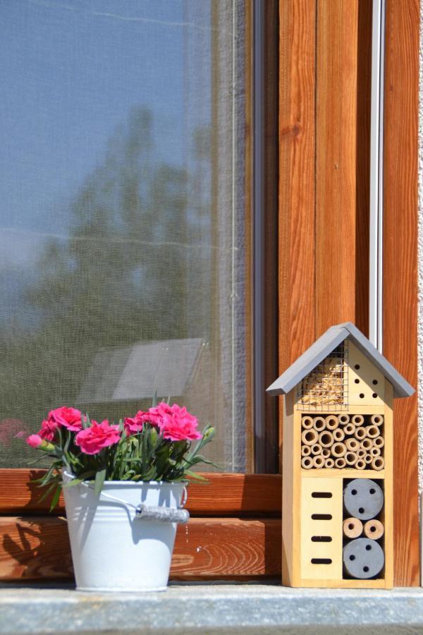 PaesanaSemi Al Vento: La Bio-Casa Nel Giardino Incantato!公寓 外观 照片