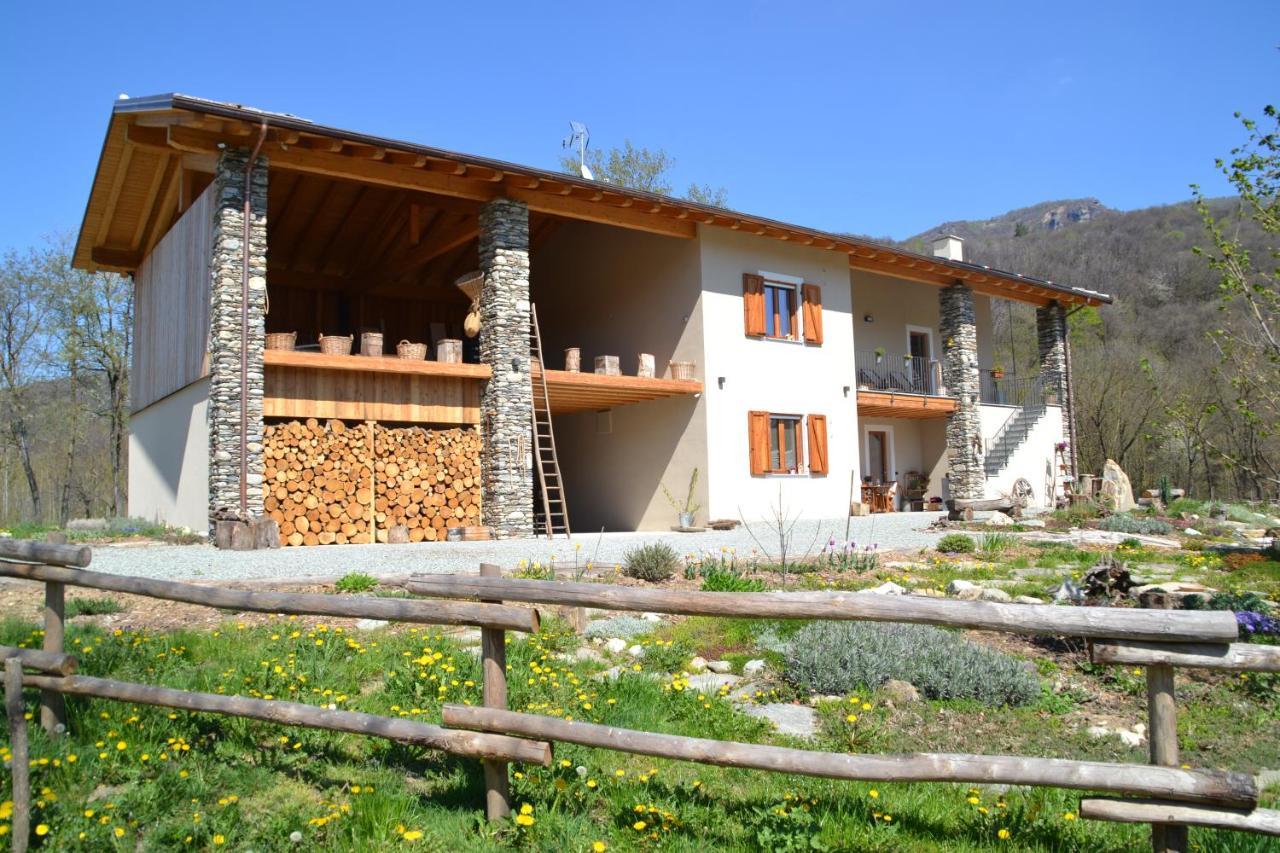 PaesanaSemi Al Vento: La Bio-Casa Nel Giardino Incantato!公寓 外观 照片