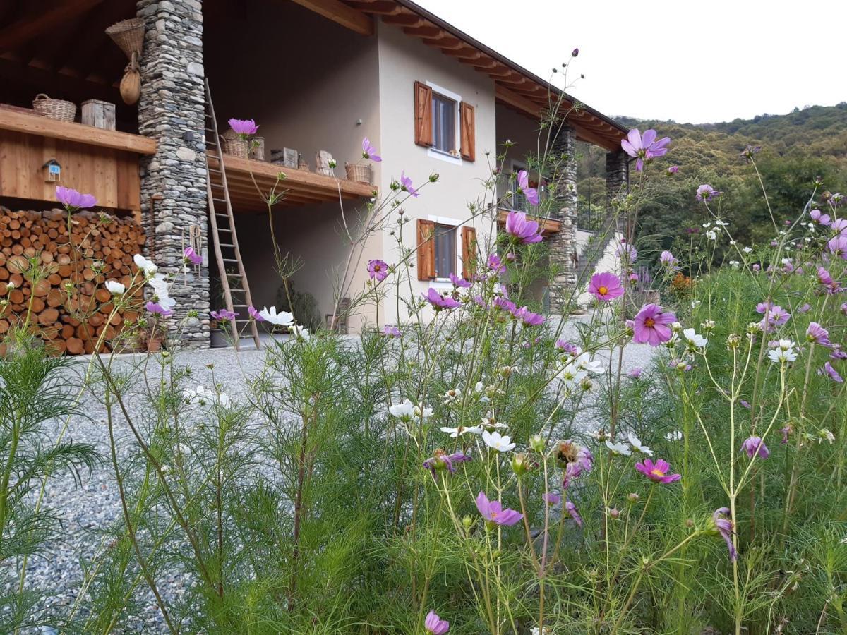 PaesanaSemi Al Vento: La Bio-Casa Nel Giardino Incantato!公寓 外观 照片