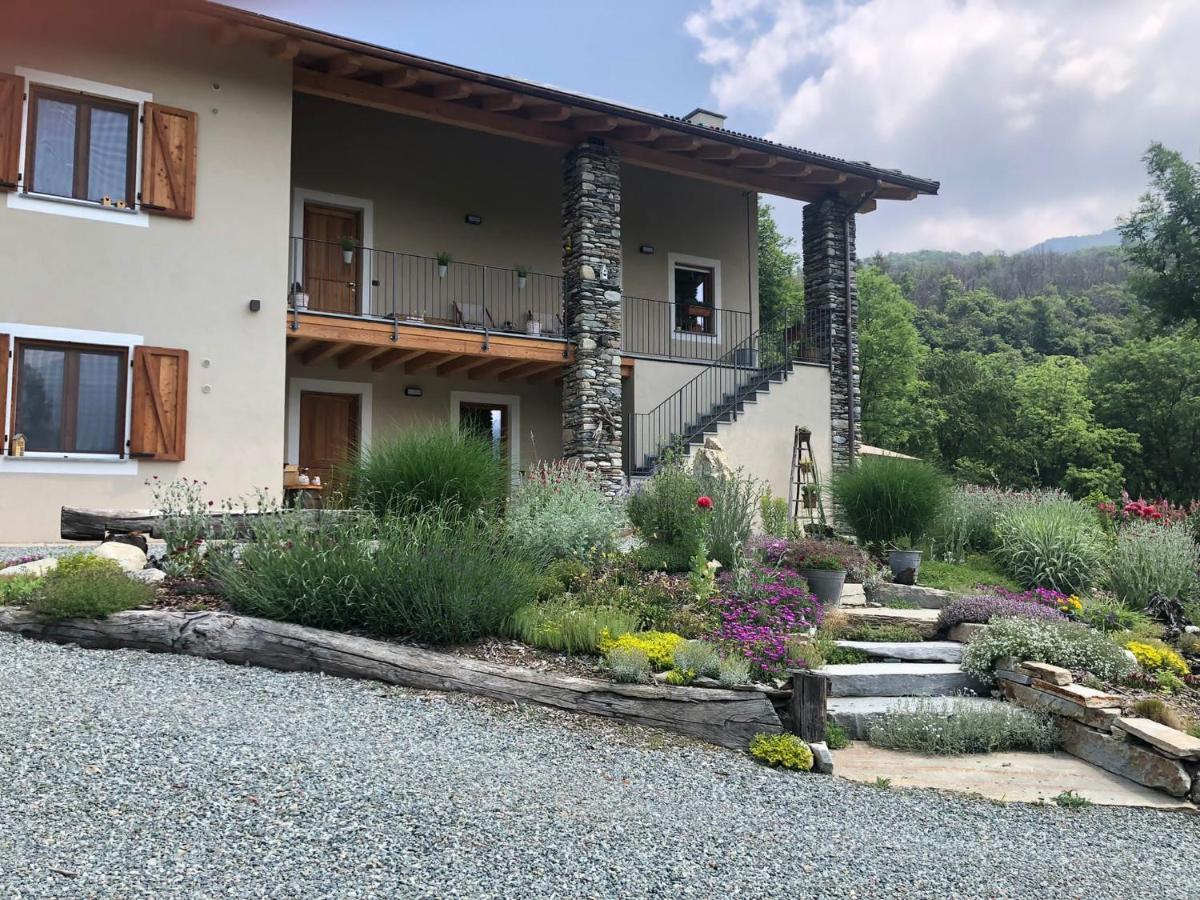 PaesanaSemi Al Vento: La Bio-Casa Nel Giardino Incantato!公寓 外观 照片