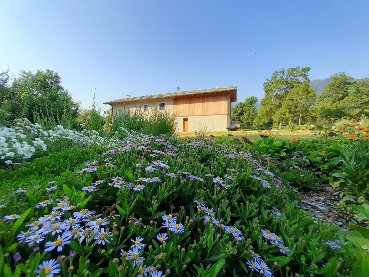 PaesanaSemi Al Vento: La Bio-Casa Nel Giardino Incantato!公寓 外观 照片