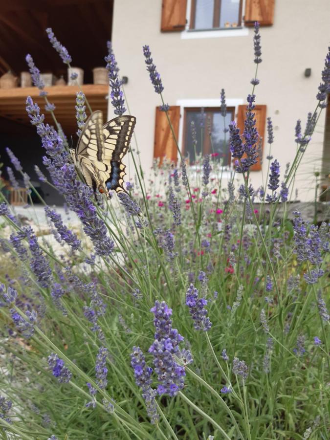 PaesanaSemi Al Vento: La Bio-Casa Nel Giardino Incantato!公寓 外观 照片